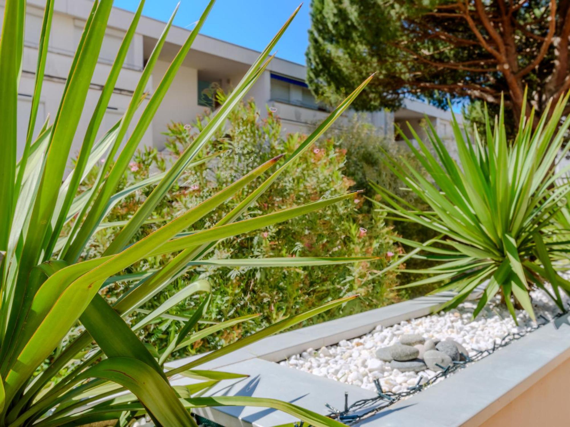 לה גרנד מוט Apartment Antinea-4 By Interhome מראה חיצוני תמונה